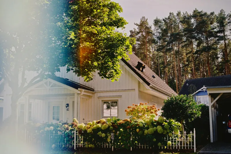 Nature's New Nobility: How Wild Gardens Became Britain's Latest Class Signifier